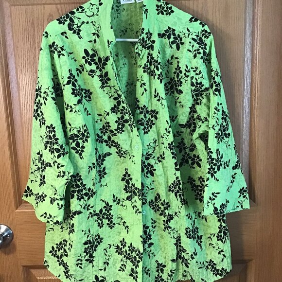 Cato Blouse - Picture 1 of 2